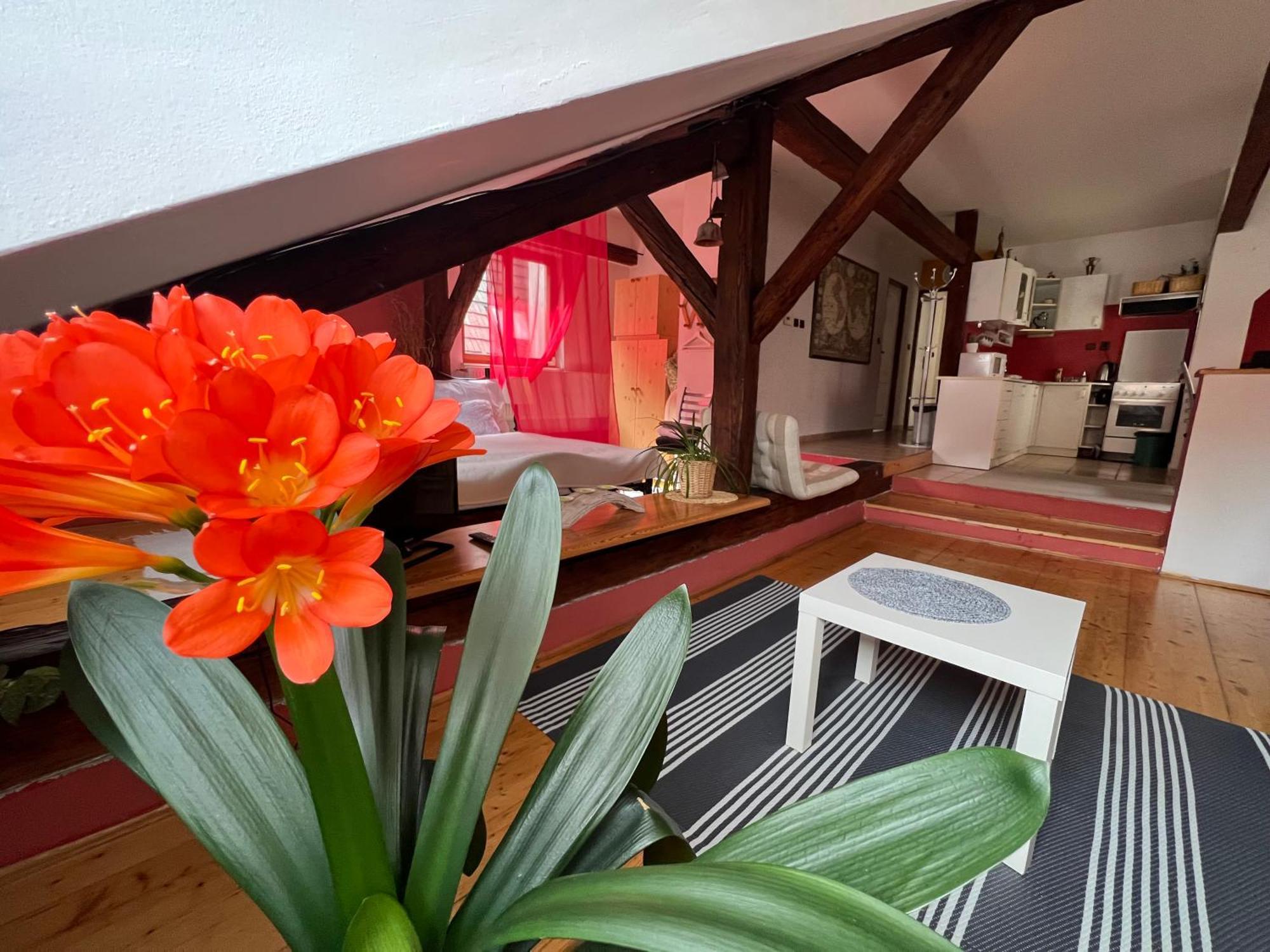 Apartamento Apartman Galant Český Krumlov Exterior foto